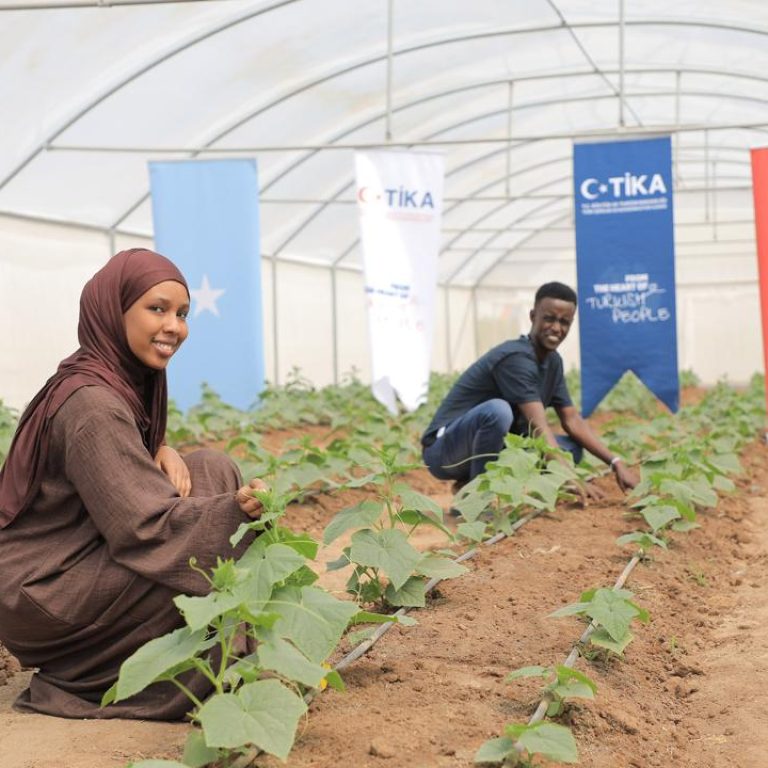 Farmer field training